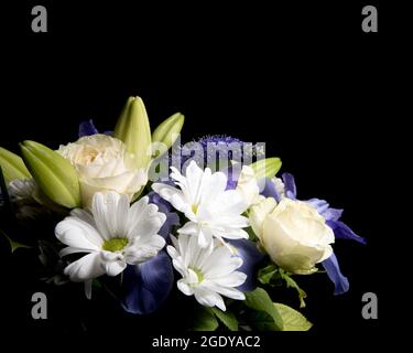 Beerdigung Strauß lila weiße Blüten, Mitgefühl und Beileid Konzept auf blackbackground mit kopieren. Stockfoto