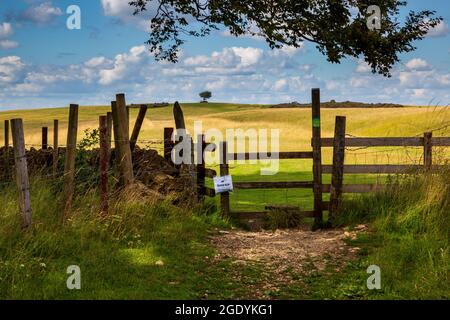 Über den Stil zum Cleeve Common in der Nähe von Cheltenham Spa, Gloucestershire, England Stockfoto