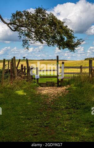 Über den Stil zum Cleeve Common in der Nähe von Cheltenham Spa, Gloucestershire, England Stockfoto