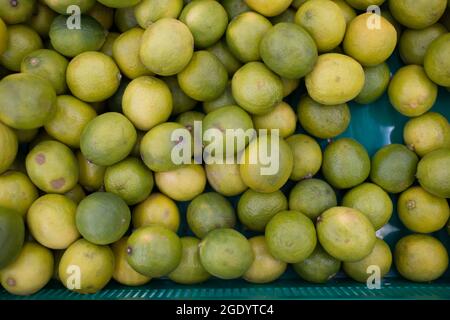 Limes an einem Tresen in einem Laden. Stockfoto