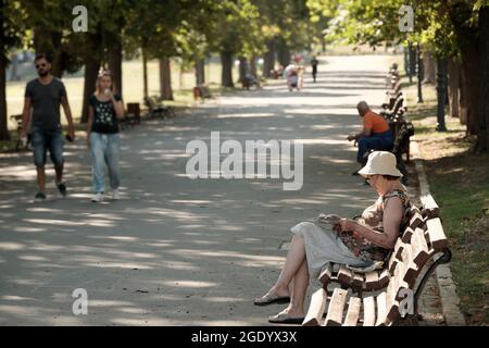 Die alte Frau mit Haube sitzt auf der Bank einer baumgesäumten Allee im Park und liest die Zeitung Sofia - Bulgarien Stockfoto