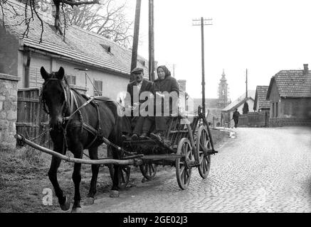 Ungarisches Paar, das mit Pferd und Wagen in einem Dorf in der Nähe von Budapest, Ungarn, auf den Markt kommt 1956 Stockfoto