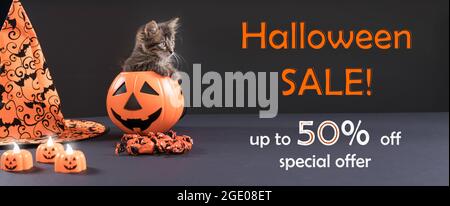 Halloween-Werbebanner. Eine Katze sitzt in einem Eimer Kürbis auf schwarzem Hintergrund mit Text bis zu 50 Rabatt Sonderangebot Stockfoto