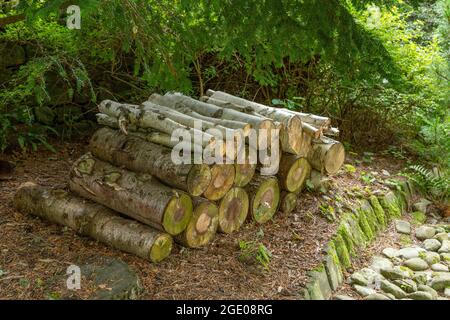 Baumstämme stapelten sich im York Gate Garden, Leeds, Yorkshire. Stockfoto