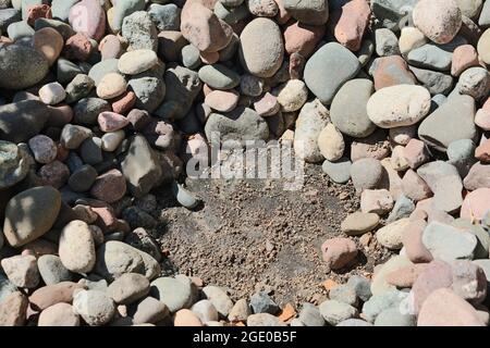 Pflanzen um Felsen Stockfoto