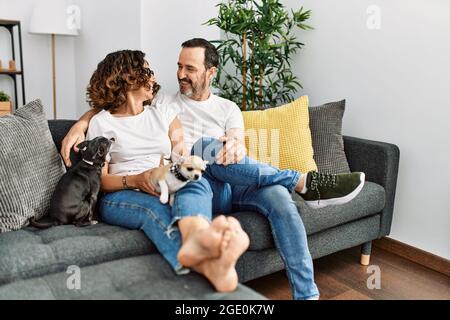 hispanische Paare mittleren Alters lächeln glücklich auf dem Sofa mit Hunden zu Hause sitzen. Stockfoto