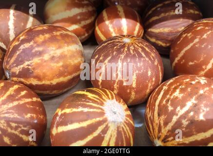 Dunkelorange asiatische Melonen aus nächster Nähe. Hintergrund von kleinen Melonen. Stockfoto