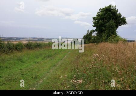 Ein öffentliches Vorfahrtsrecht auf der grünen Straße auf den Yorkshire Wolds Stockfoto