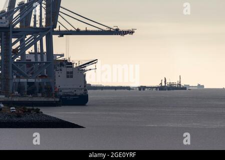 DP World London Gateway, am frühen Morgen, mit Kränen, Schiffen und Blick auf die Themse-Mündung und den Southend Pier in weiter Ferne Stockfoto
