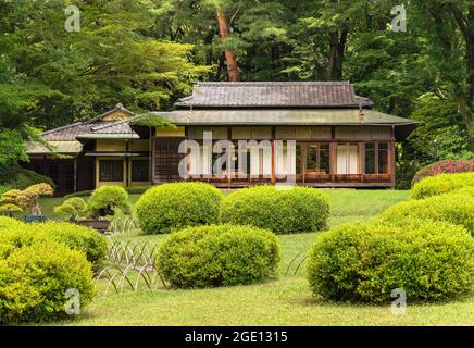 tokio, japan - 25 2021. juni: Niwaki-Sträucher und bonzai-Bäume im Meiji Jingu Inner Garden mit Blick auf den japanischen Chashitsu-Teeraum Kakuunesi te Stockfoto