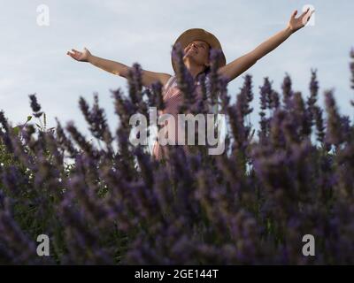 Frau, die in den Himmel blickt, umgeben von Lavendelpflanzen, mit Gesten großen Glücks Stockfoto