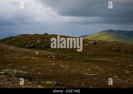 Kungsleden Trail zwischen Hemavan und Viterskalet an einem regnerischen Tag Mitte Juli, Lappland, Schweden Stockfoto