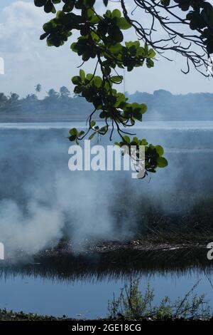 Salvador, Bahia, Brasilien - 17. Oktober 2015: Die Landschaft wird vom Sonnenbrand verbrannt. Stockfoto