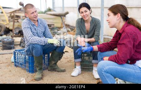 Drei Arbeiter sprechen Stockfoto