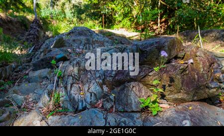 Verschiedene Felsen in Flussbetten Stockfoto