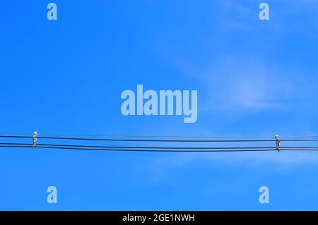 Elektrischer Draht mit blauem Himmel Stockfoto