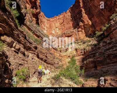 Trekking auf dem Kaibab Trail, Grand Canyon National Park, Arizona Stockfoto