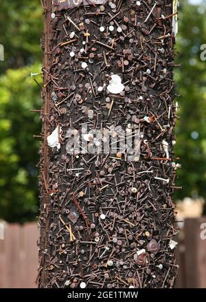 Rostige Nägel und Schrauben auf Telefonmast in Costa Mesa, CA zeigen jahrelange Yard-Verkaufsschilder Stockfoto