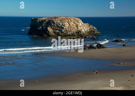 Blick auf den Table Rock, Oregon Islands National Wildlife Refuge-Coquille Point Unit, Bandon, Oregon Stockfoto