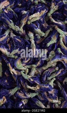 Getrocknete Schmetterlingsblüten (Clitoria Ternatea) Stockfoto