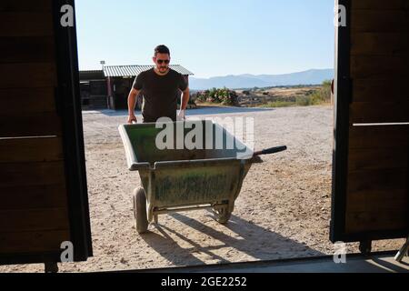 Junger lateinischer Mann, der eine Schubkarre trägt, um Pferdeexkremente im Stall aufzunehmen. Stockfoto