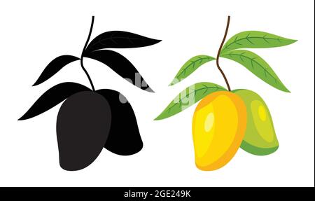 Zwei Mangos hängen an einem Ast mit Blättern auf weißem Hintergrund. Saftige Mangofrüchte Vektor isoliert. Mangifera Indica. Stock Vektor