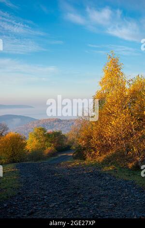 Herbstliche Landschaft der karpaten Berge. Straße in der Spitze eines Hügels. Bäume in hellem gelbem Laub auf dem Weg im Morgenlicht. Nebliges Tal i Stockfoto