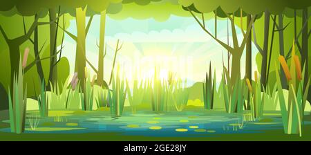 Sommer Waldlandschaft mit einem Teich. Ufer eines Flusses oder Sees. Sonnenaufgang am Morgen. Bäume und Dickicht. Himmel mit Wolken. Sumpfdarstellung. Flacher Style. Wa Stock Vektor