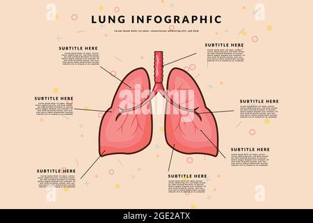 Infografik-Vektor-Template-Konzept für Lungenorgane mit einfachem Layout Stock Vektor