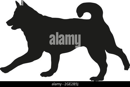 Schwarze Hundehüsse. Läuft sibirische Husky. Haustiere. Isoliert auf weißem Hintergrund. Vektorgrafik. Stock Vektor