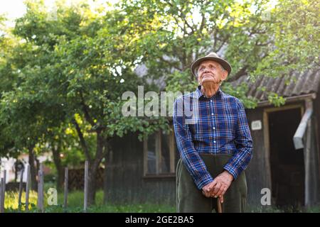 Porträt eines älteren Mannes, der im Garten steht und nach oben schaut. Stockfoto