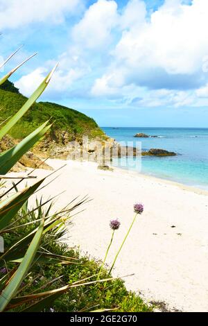 Herm, Kanalinseln, Großbritannien - 1. Juli 2016: Weißer Sand und türkisfarbenes Meer am schönen und leeren Belvoir Bay Beach an einem sonnigen Sommertag. Stockfoto