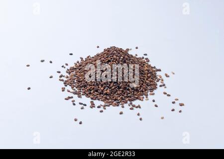 Schwarze Sesamsamen, Sesamum indicum, Satara, Maharashtra, Indien Stockfoto
