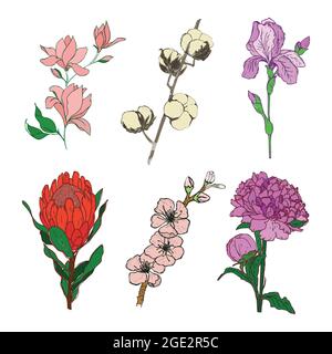 Eine Reihe von handgezeichneten Blumen. vektor-Illustration isoliert auf einem weißen Hintergrund Stock Vektor