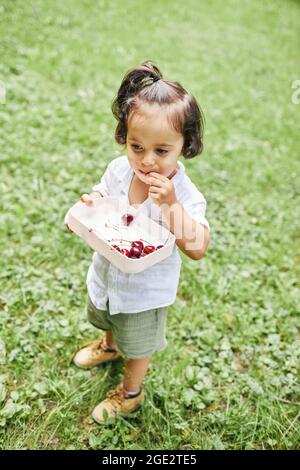 Vertikales Hochwinkelporträt eines niedlichen kleinen Jungen im Park, der Beeren isst, während er den Sommer im Freien genießt Stockfoto