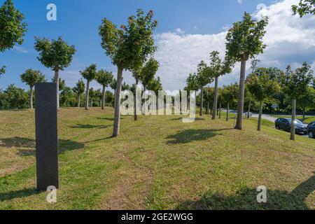 La Cambe, Frankreich - 08 03 2021: Deutscher Militärfriedhof in der Normandie und der Garten der Verschwundenen mit Ahornbäumen Stockfoto