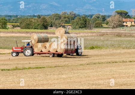 Große Heuballen werden auf einem Anhänger in der toskanischen Landschaft, Italien, verladen Stockfoto