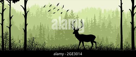 Horizontales Banner. Silhouette eines Hirsches, der auf der Wiese im Wald steht. Silhouette von Tier, Bäumen, Gras. Magische neblige Landschaft, Nebel. Grün, schwarz. Stock Vektor