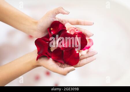 Hände einer Frau mit gemischter Rasse im Badezimmer, die Rosenblätter hielt, um ihr Schönheitsbad zu ergänzen Stockfoto