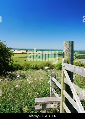 North Wessex Downs/Hills/Downland/Countryside Großbritannien. Stockfoto
