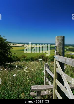 North Wessex Downs/Hills/Downland/Countryside Großbritannien. Stockfoto