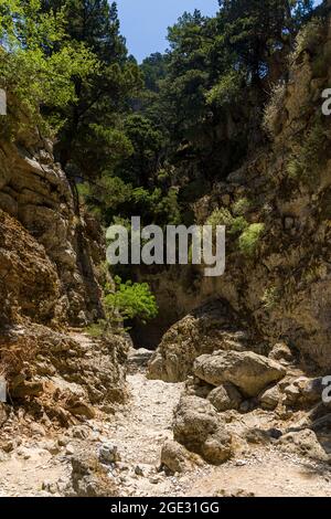 Eine enge Schlucht und ein trockenes Flussbett in einem heißen Klima (Imbros-Schlucht, Kreta, Griechenland) Stockfoto