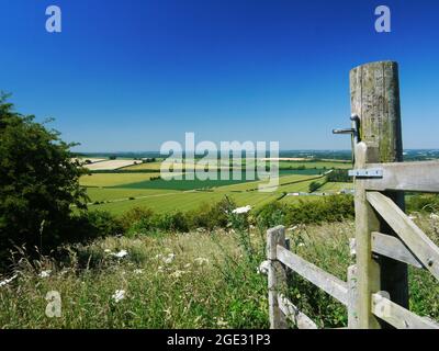 North Wessex Downs/Hills/Downland/Countryside Großbritannien. Stockfoto