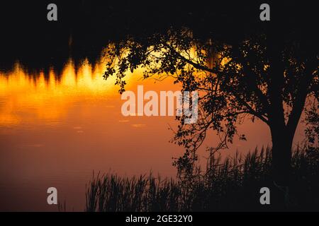 Schöner orangefarbener und gelber Sonnenuntergang, der sich auf dem Wasser mit einer Silhouette aus Schilf, Bäumen und Wald widerspiegelt Stockfoto