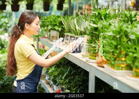 Junge weibliche Werkstätte arbeiten mit Dokumenten- und Tablet-Computer, um Blumen in den Regalen zu überprüfen und Online-Bestellungen von Kunden anzunehmen Stockfoto