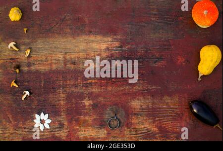 Herbstrahmen Zusammensetzung und Layout aus bunten Kürbissen, Auberginen, Pilzen, Samen gealterten vintage alten retro roten Hintergrund. Erntefest Konz Stockfoto