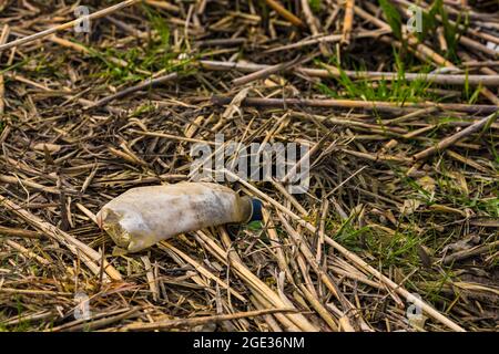 Eine Plastikflasche wurde weggeworfen und verrottet langsam in einem Gewässer Stockfoto