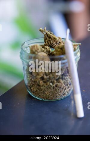 Selektive Fokusaufnahme von getrocknetem Marihuana auf dem Tisch Stockfoto