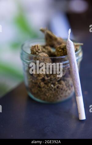 Selektive Fokusaufnahme von getrocknetem Marihuana auf dem Tisch Stockfoto