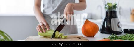 Teilansicht einer Frau, die Zucchini in der Nähe von reifen Kürbis und Mixer mit in Scheiben geschnittener Gurke, Banner schneidet Stockfoto